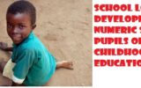 School Location and Development of Numeric Skills among Pupils of Early Childhood Care and Education