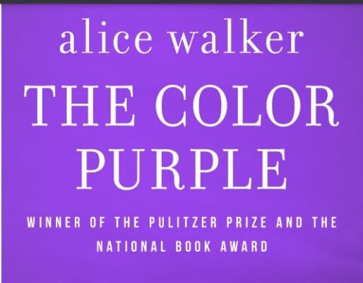 African American Cultural History and Development: Analysis of South to America by Imani Perry and Colour Purple by Alice Walker