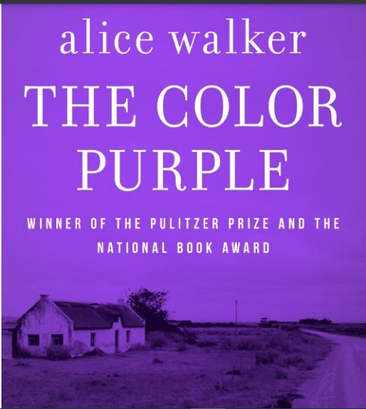 African American Cultural History and Development: Analysis of South to America by Imani Perry and Colour Purple by Alice Walker
