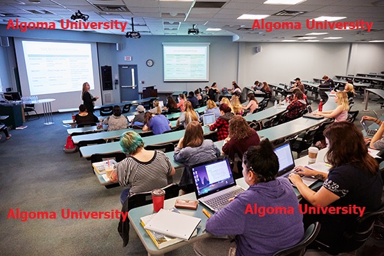 Algoma University Bachelor Scholarship Grant in Canada 2022